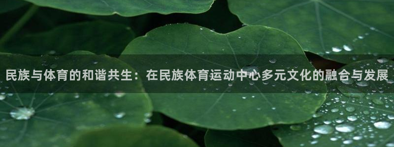 民族与体育的和谐共生：在民族体育运动中心多元文化的融合与发展