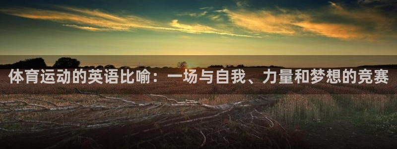 体育运动的英语比喻：一场与自我、力量和梦想的竞赛