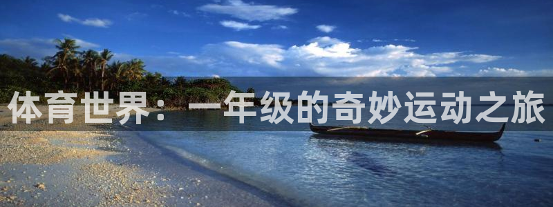 体育世界：一年级的奇妙运动之旅