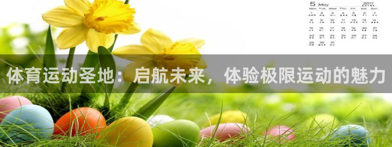 体育运动圣地：启航未来，体验极限运动的魅力