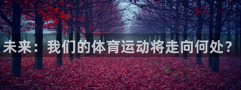 未来：我们的体育运动将走向何处？
