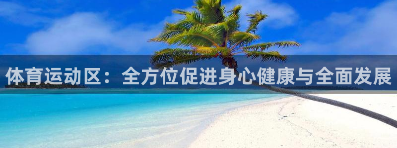 体育运动区：全方位促进身心健康与全面发展
