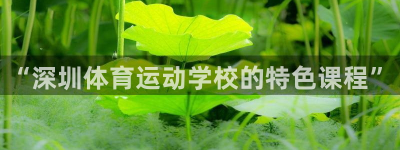 “深圳体育运动学校的特色课程”