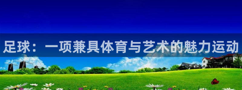 足球：一项兼具体育与艺术的魅力运动