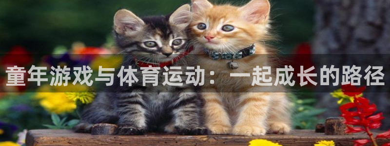 童年游戏与体育运动：一起成长的路径