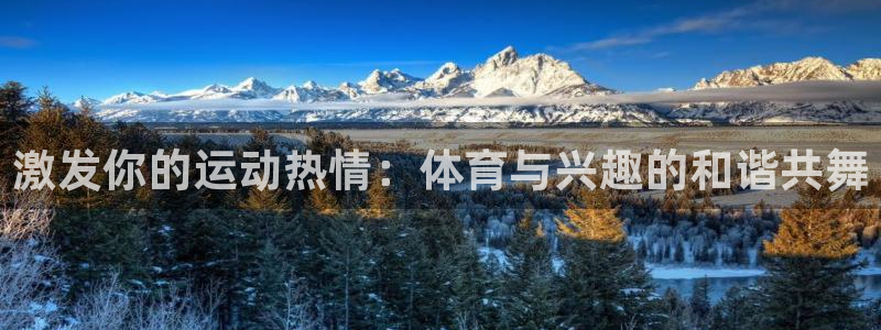 激发你的运动热情：体育与兴趣的和谐共舞