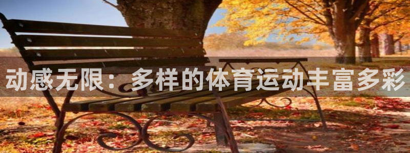 动感无限：多样的体育运动丰富多彩