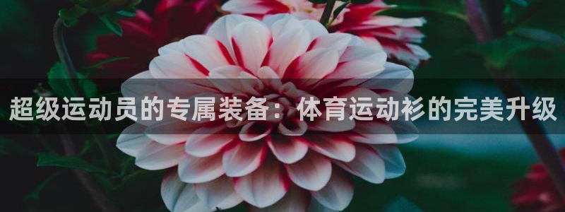 超级运动员的专属装备：体育运动衫的完美升级