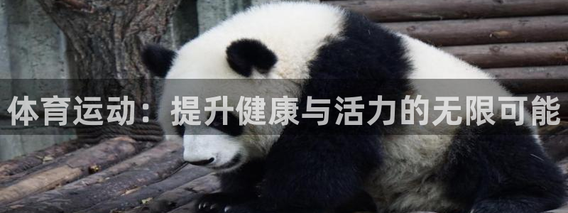 体育运动：提升健康与活力的无限可能
